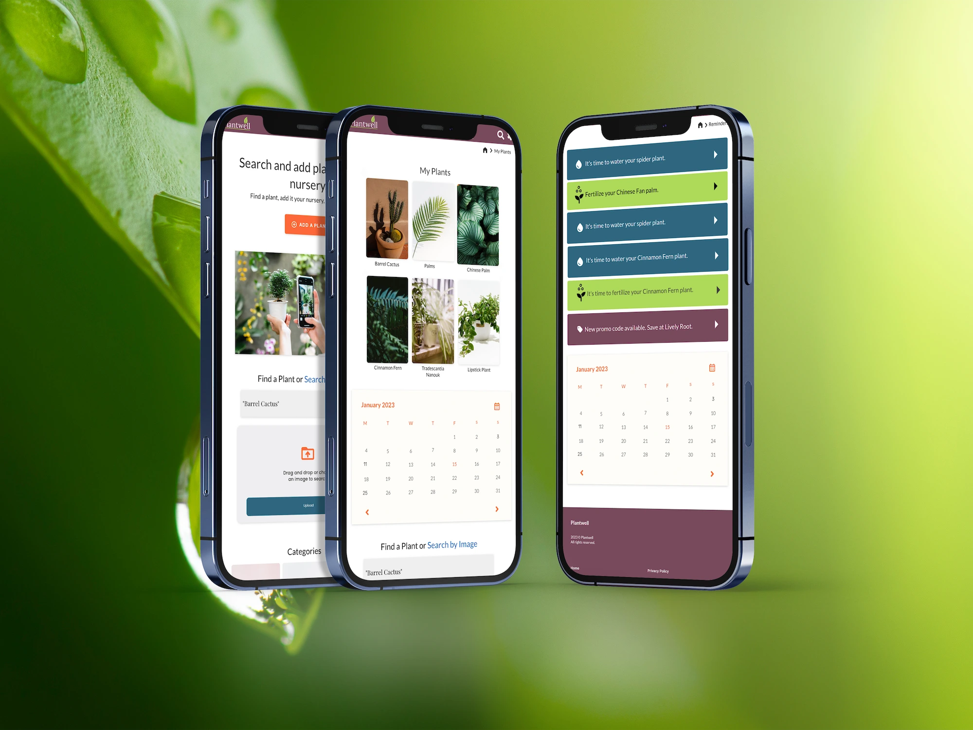 A redesigned user experience and UI interface for the Plantwell app.
UX wireframing, usability testing, UI design, UX writing, and user flows.